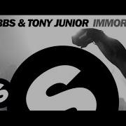 Dvbbs Tony Junior Immortal Original Mix