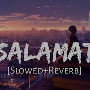 Salamat Slowed Reverb Sharma Ji Piyush Kumar