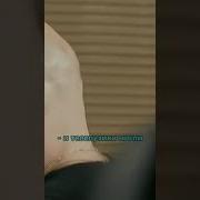 Пёс И Макс Лучшие Моменты