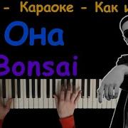 Bonsai Она Фортепиано