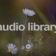 Lone Wolf Dan Lebowitz No Copyright Music Youtube Audio Library