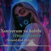 Yaniyorum Ya Habibi Slowed