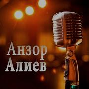 Чиченская Песня Анзор Алиев