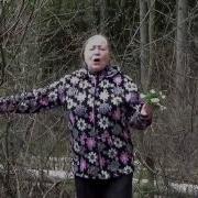 Где Ты Юность Моя Где Пора Золотая
