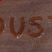 I Hate Dust