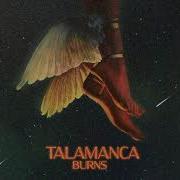 Talamanca Burns