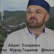 Мурад Гаджиев Новый Нашид На Аварском Языке