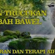 Trucuk Suara Air