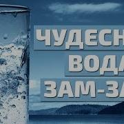 Зам Зам Ислам Нашидов