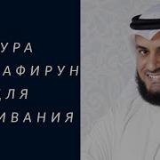 Сура Куля Айюхаль Кафирун