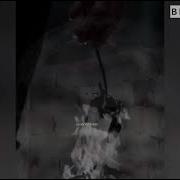 Дог Дохош Хадича Безаман Хьа Ирса Га