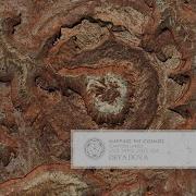 Mapping The Cosmos Deya Dova