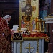 Божественная Литургия С Участием Патриарха Кирилла