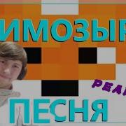 Пою Музыку Мимозыря