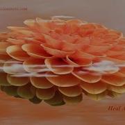 Quit Drinking Now Overcome Alcohol Addiction Energetic Frequency Healing Meditation