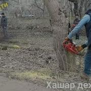 Хашар Дехаи Шул Файзи Рашти