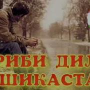 Реп 2019 Ана Ира Репи Гариби Меган Гариби Дил Шикаста