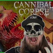 Cannibal Corpse Best