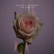 Sultan Shepard The Visitor