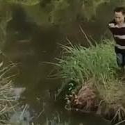 Нет Стой Не Прыгай