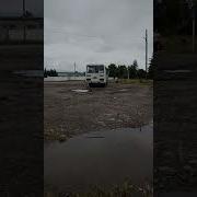 Если Ты Заблудился В Лесу Иди Домой