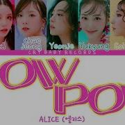 Pow Pow Acapella Alice