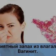 Запах Письки