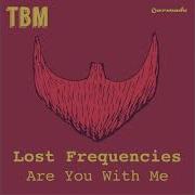 Lost Frequencies Are You With Me Instrumental