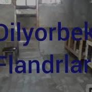 Dilyorbek Flandrlari