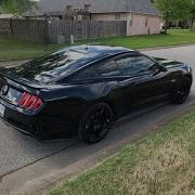 Black Mustang