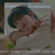 Secret Secret Skz Speed Up