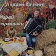 Песня От Которой Поет Русская Душа А Ноги Сами В Пляс Идут Гриша Петров
