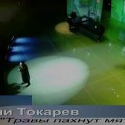 Вилли Токарев Травы Пахнут Мятою