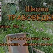 Школа Травоведения Занятие 2 Травоведение Как Направление Личностного Роста