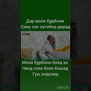 Клипи Эшон Нуридинчон Чанг Дар Чаноза