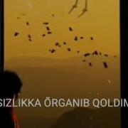 Sherzod Karim Sensizlikka O Rganib Qoldim
