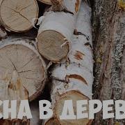 Релакс Звуки Лета Деревня Волшута
