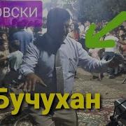 Бучухан Дар Туй