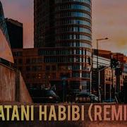 Watani Habibi Tiktok Remix