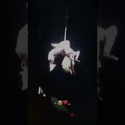 Любопытство Песня