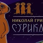 Николай Гринько Сурикаты