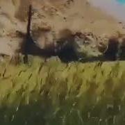 Эй Санами Чони Ман