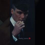 Мои Трусы От Бабери Speed Up