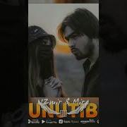 Unutib Unutib