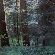 Карпати Співають Птахи