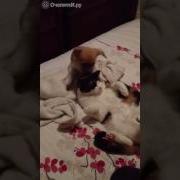 Я Тебе Отомщу