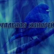 Дина Шор Лицедеи Печальная Канарейка Blue Canary