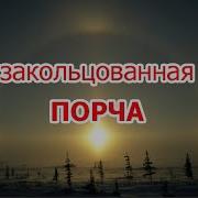 Игорь Попович Закальцованная Порча