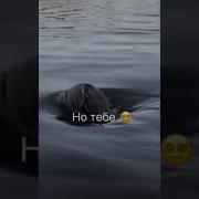 Оу Я Очень Близко К Сердцу