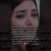 Лавха Дар Бораи Зиндаги